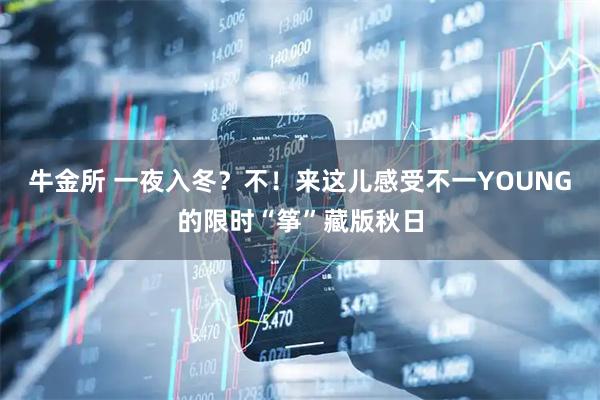 牛金所 一夜入冬？不！来这儿感受不一YOUNG的限时“筝”藏版秋日